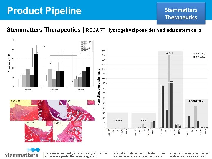 Product Pipeline Stemmatters Therapeutics | RECART Hydrogel/Adipose derived adult stem cells Stemmatters, Biotecnologia e