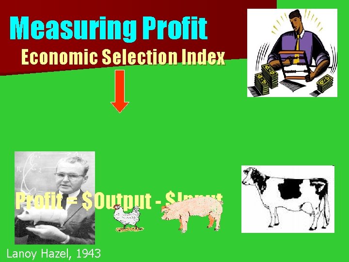 Measuring Profit Economic Selection Index Profit = $Output - $Input Lanoy Hazel, 1943 