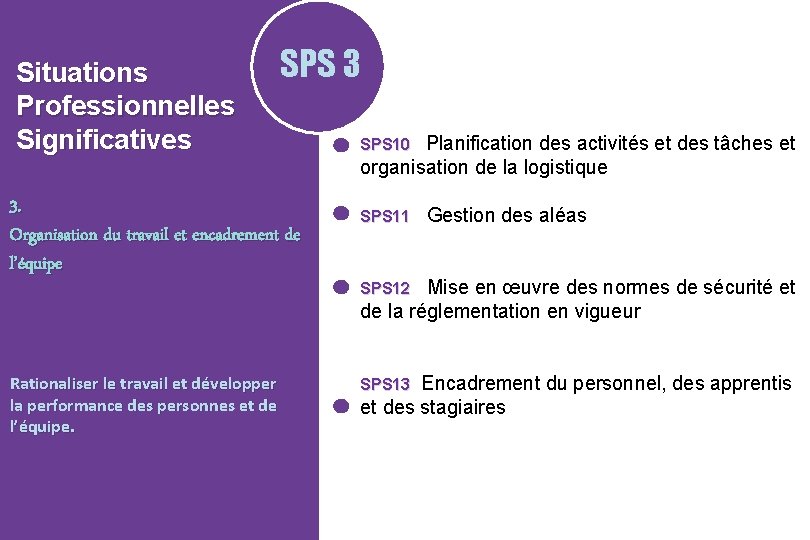 Situations Professionnelles Significatives SPS 3 3. Organisation du travail et encadrement de l’équipe Rationaliser