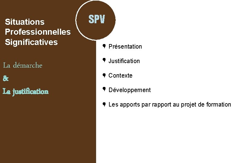 Situations Professionnelles Significatives La démarche & La justification SPV Présentation Justification Contexte Développement Les