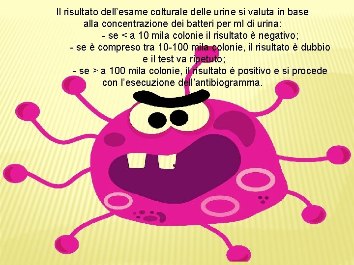 Il risultato dell’esame colturale delle urine si valuta in base alla concentrazione dei batteri