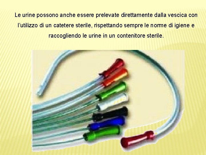 Le urine possono anche essere prelevate direttamente dalla vescica con l’utilizzo di un catetere