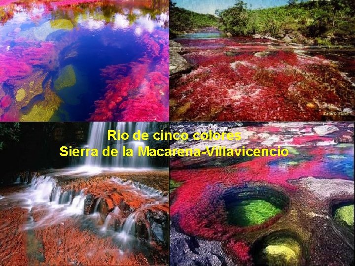 Rio de cinco colores Sierra de la Macarena-Villavicencio 