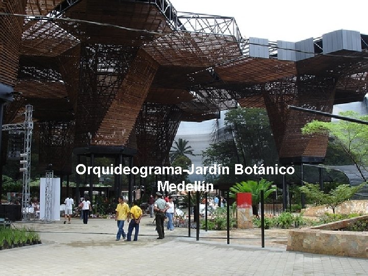 Orquideograma-Jardín Botánico Medellín 