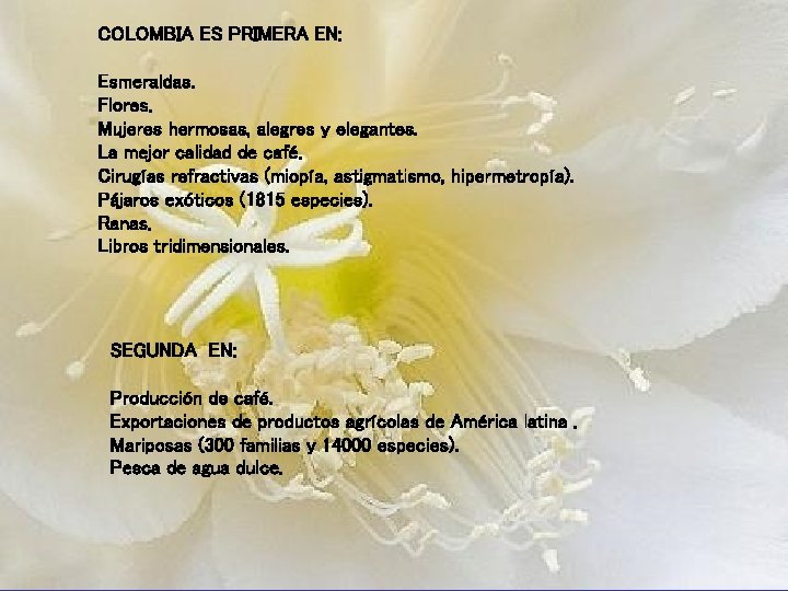 COLOMBIA ES PRIMERA EN: Esmeraldas. Flores. Mujeres hermosas, alegres y elegantes. La mejor calidad