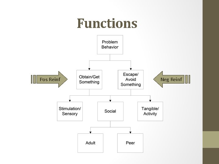 Functions Pos Reinf Neg Reinf 