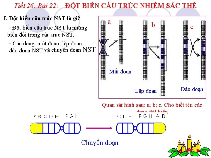 Tiết 26: Bài 22: ĐỘT BIẾN CẤU TRÚC NHIỄM SẮC THỂ I. Đột biến