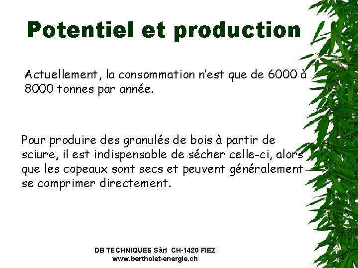 Potentiel et production Actuellement, la consommation n’est que de 6000 à 8000 tonnes par