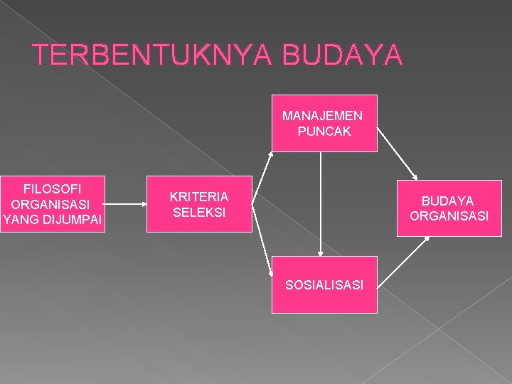 TERBENTUKNYA BUDAYA MANAJEMEN PUNCAK FILOSOFI ORGANISASI YANG DIJUMPAI KRITERIA SELEKSI BUDAYA ORGANISASI SOSIALISASI 