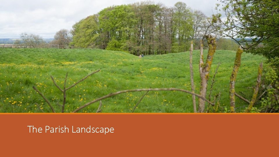 The Parish Landscape 