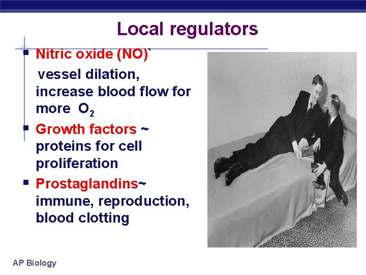 Local regulators § Nitric oxide (NO)` § § vessel dilation, increase blood flow for Local regulators § Nitric oxide (NO)` § § vessel dilation, increase blood flow for