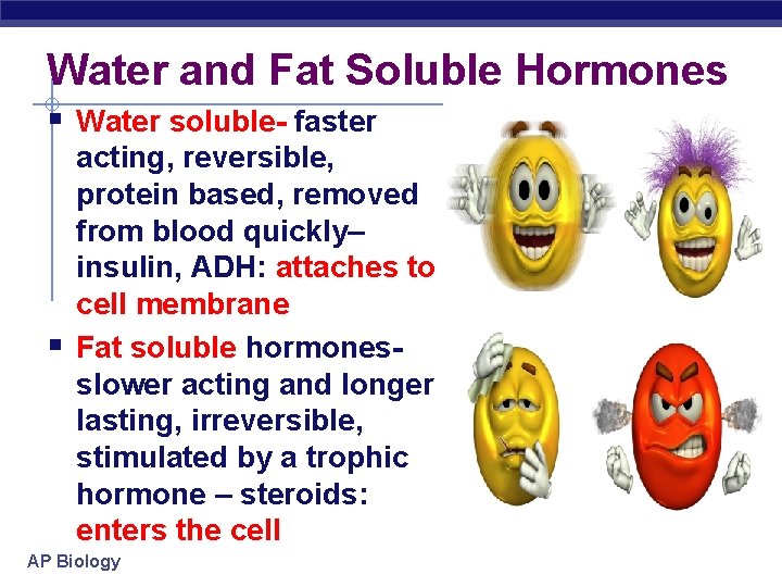 Water and Fat Soluble Hormones § Water soluble- faster § acting, reversible, protein based, Water and Fat Soluble Hormones § Water soluble- faster § acting, reversible, protein based,