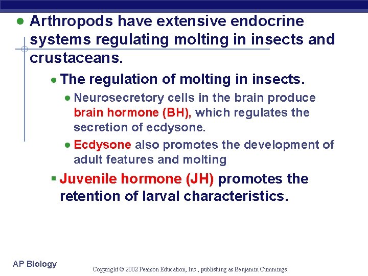 · Arthropods have extensive endocrine systems regulating molting in insects and crustaceans. · The · Arthropods have extensive endocrine systems regulating molting in insects and crustaceans. · The