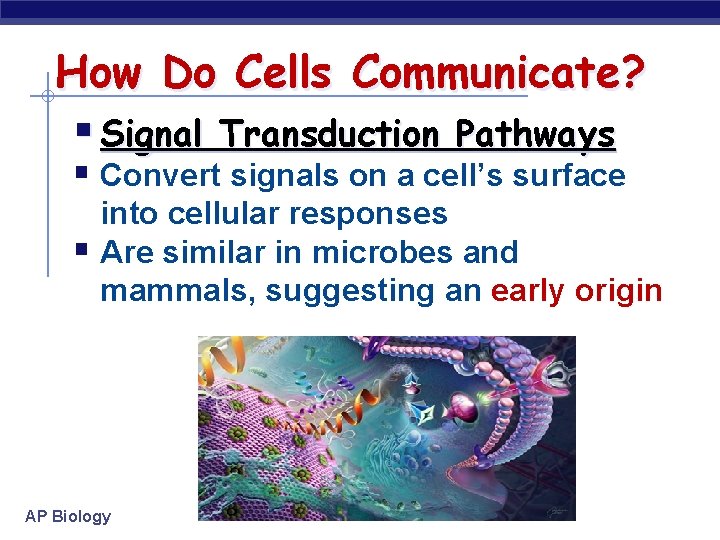 How Do Cells Communicate? § Signal Transduction Pathways § Convert signals on a cell’s How Do Cells Communicate? § Signal Transduction Pathways § Convert signals on a cell’s