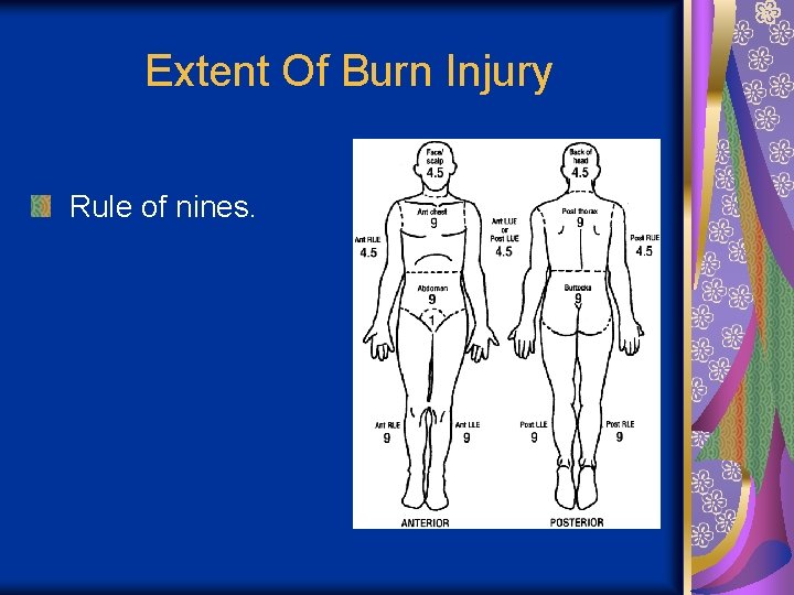 Extent Of Burn Injury Rule of nines. 