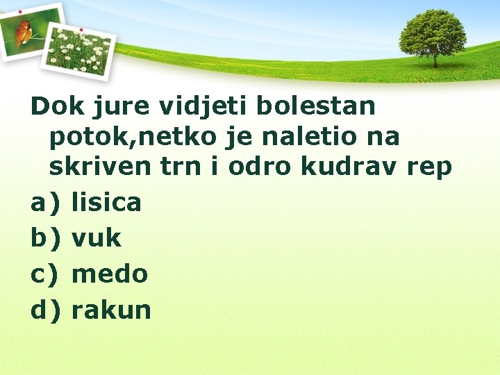 Dok jure vidjeti bolestan potok, netko je naletio na skriven trn i odro kudrav