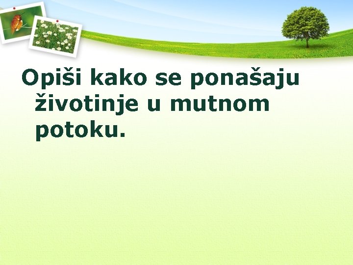 Opiši kako se ponašaju životinje u mutnom potoku. 