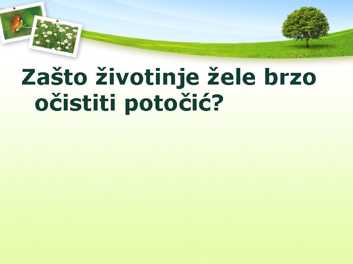 Zašto životinje žele brzo očistiti potočić? 