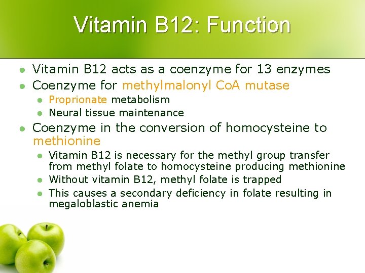 Vitamin B 12: Function l l Vitamin B 12 acts as a coenzyme for