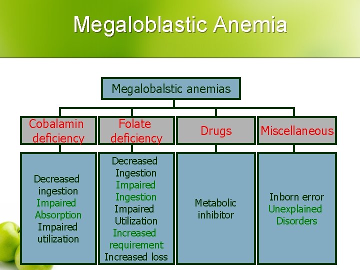 Megaloblastic Anemia Megalobalstic anemias Cobalamin deficiency Folate deficiency Drugs Miscellaneous Decreased ingestion Impaired Absorption