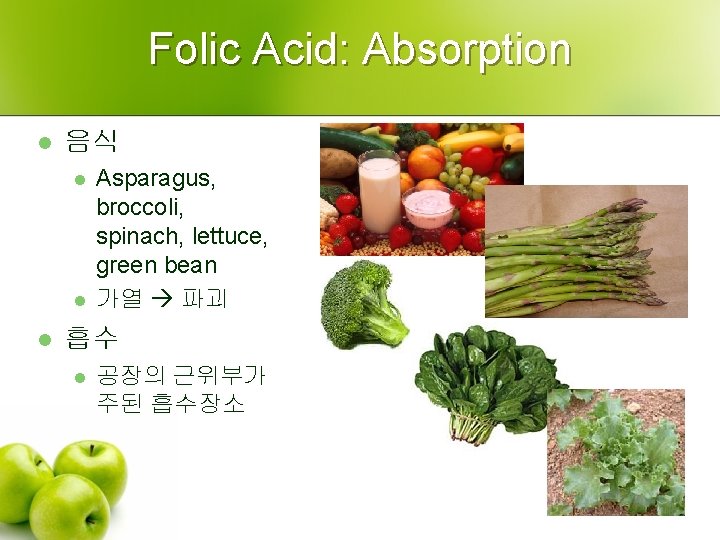Folic Acid: Absorption l 음식 l l l Asparagus, broccoli, spinach, lettuce, green bean