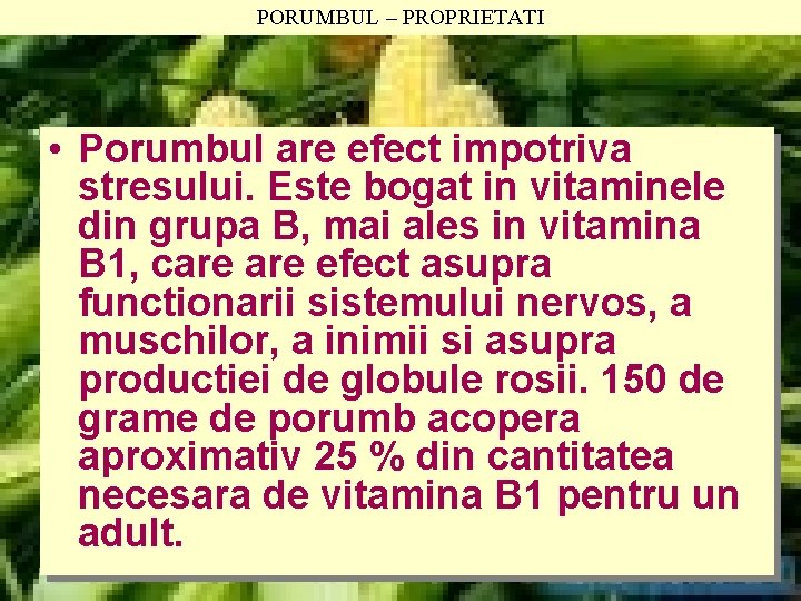 PORUMBUL – PROPRIETATI • Porumbul are efect impotriva stresului. Este bogat in vitaminele din