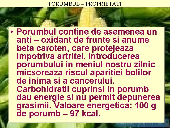 PORUMBUL – PROPRIETATI • Porumbul contine de asemenea un anti – oxidant de frunte