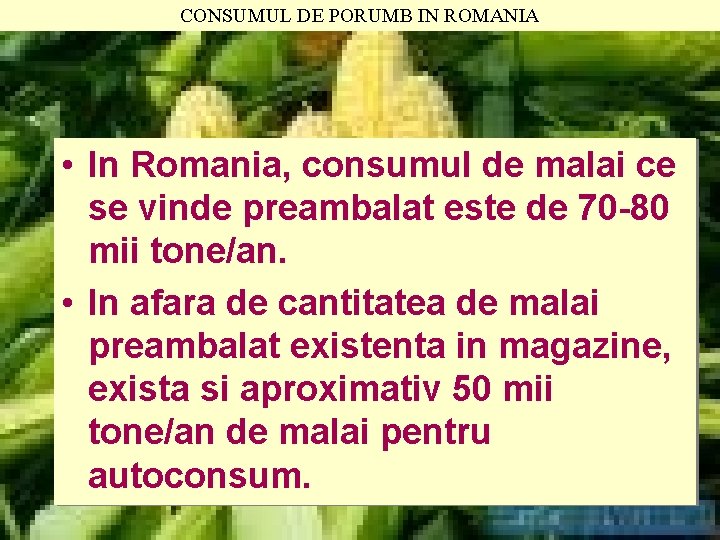 CONSUMUL DE PORUMB IN ROMANIA • In Romania, consumul de malai ce se vinde