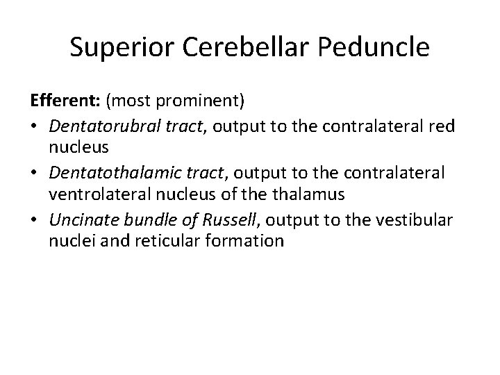 Superior Cerebellar Peduncle Efferent: (most prominent) • Dentatorubral tract, output to the contralateral red
