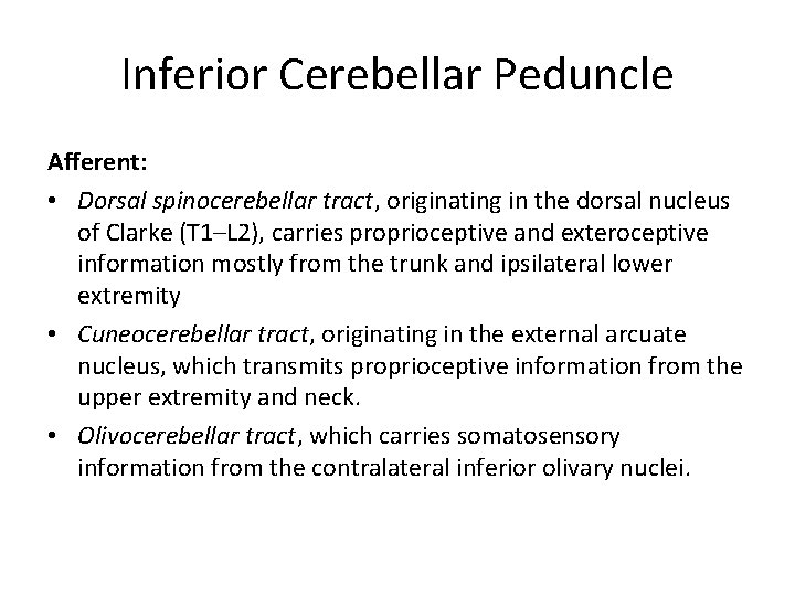 Inferior Cerebellar Peduncle Afferent: • Dorsal spinocerebellar tract, originating in the dorsal nucleus of