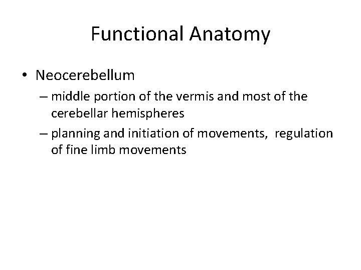 Functional Anatomy • Neocerebellum – middle portion of the vermis and most of the