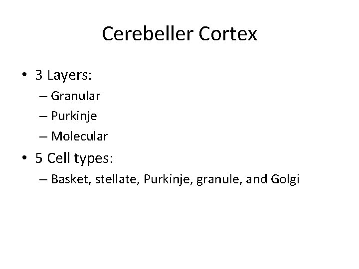 Cerebeller Cortex • 3 Layers: – Granular – Purkinje – Molecular • 5 Cell