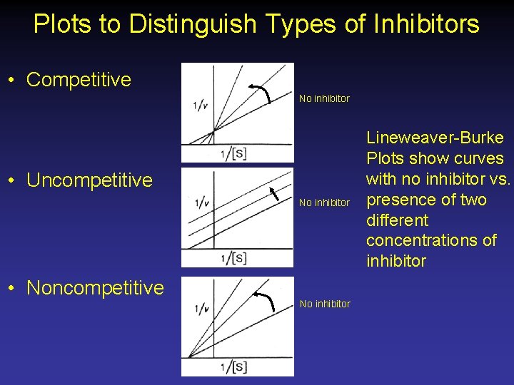 Plots to Distinguish Types of Inhibitors • Competitive No inhibitor • Uncompetitive No inhibitor