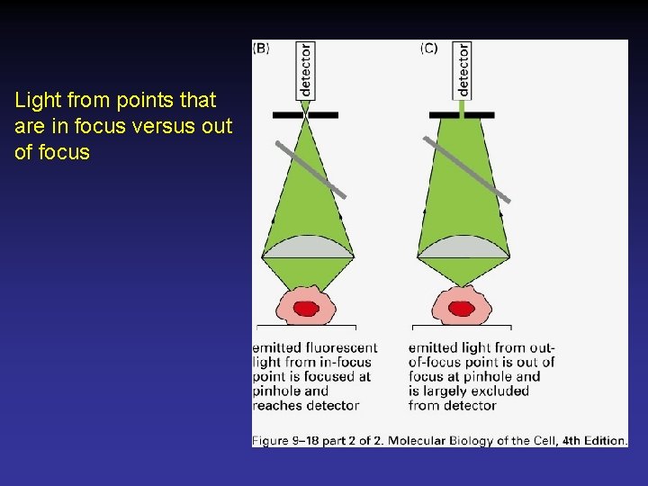 Light from points that are in focus versus out of focus 