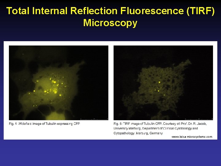 Total Internal Reflection Fluorescence (TIRF) Microscopy www. leica-microsystems. com 