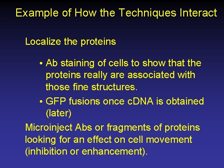 Example of How the Techniques Interact Localize the proteins • Ab staining of cells