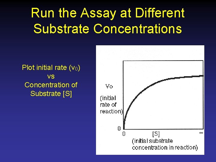 Run the Assay at Different Substrate Concentrations Plot initial rate (v 0) vs Concentration