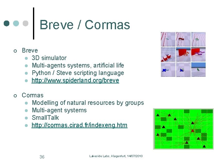 Breve / Cormas Breve l 3 D simulator l Multi-agents systems, artificial life l