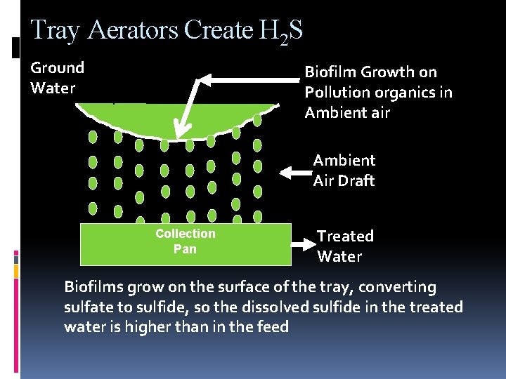 Tray Aerators Create H 2 S Ground Water Biofilm Growth on Pollution organics in