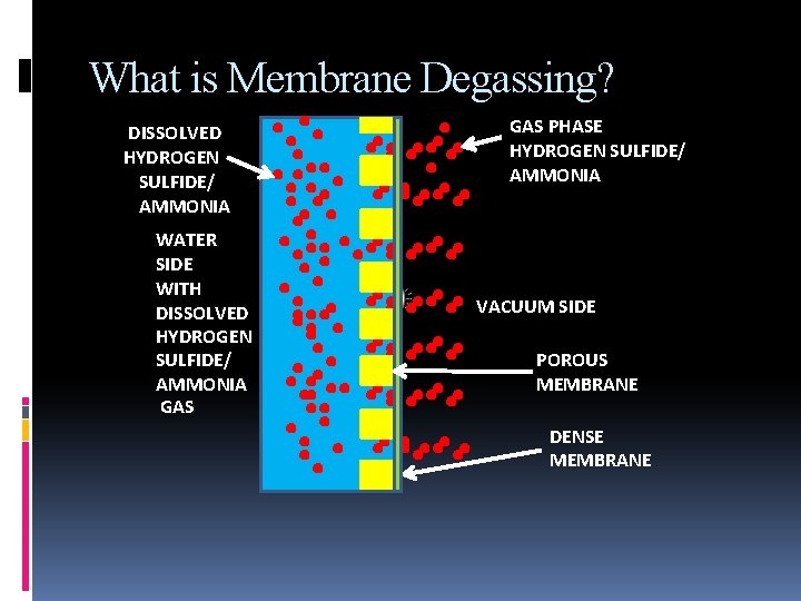 What is Membrane Degassing? DISSOLVED HYDROGEN SULFIDE/ AMMONIA WATER SIDE WITH DISSOLVED HYDROGEN SULFIDE/