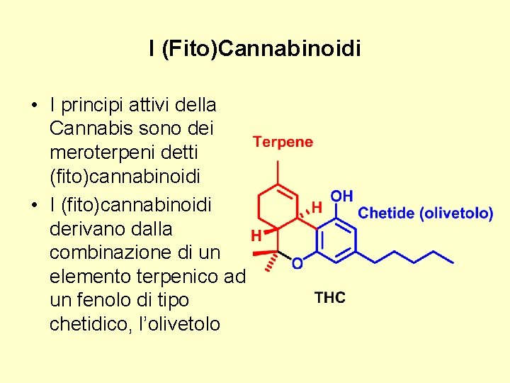 I (Fito)Cannabinoidi • I principi attivi della Cannabis sono dei meroterpeni detti (fito)cannabinoidi •