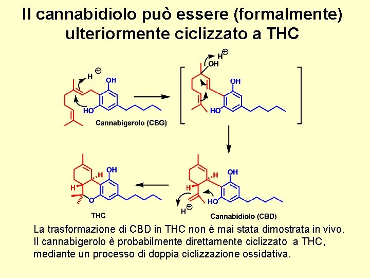 Il cannabidiolo può essere (formalmente) ulteriormente ciclizzato a THC La trasformazione di CBD in