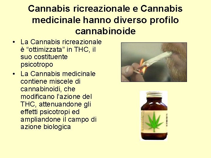 Cannabis ricreazionale e Cannabis medicinale hanno diverso profilo cannabinoide • La Cannabis ricreazionale è