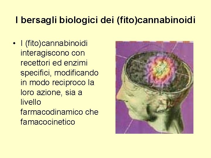 I bersagli biologici dei (fito)cannabinoidi • I (fito)cannabinoidi interagiscono con recettori ed enzimi specifici,