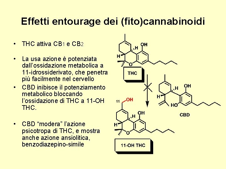 Effetti entourage dei (fito)cannabinoidi • THC attiva CB 1 e CB 2 • La
