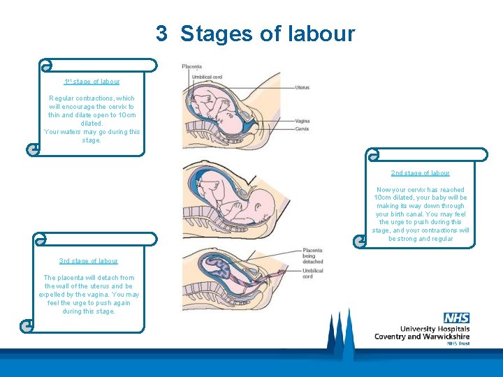 3 Stages of labour 1 st stage of labour Regular contractions, which will encourage