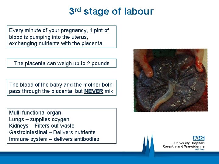 3 rd stage of labour Every minute of your pregnancy, 1 pint of blood