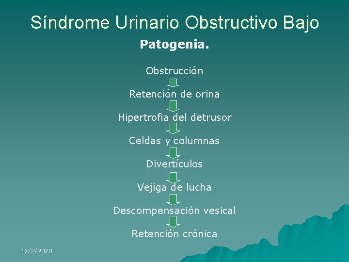 Síndrome Urinario Obstructivo Bajo Patogenia. Obstrucción Retención de orina Hipertrofia del detrusor Celdas y