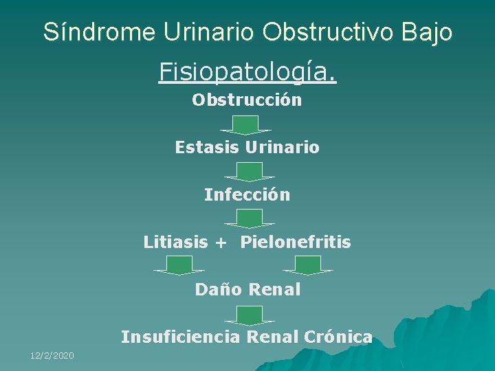 Síndrome Urinario Obstructivo Bajo Fisiopatología. Obstrucción Estasis Urinario Infección Litiasis + Pielonefritis Daño Renal