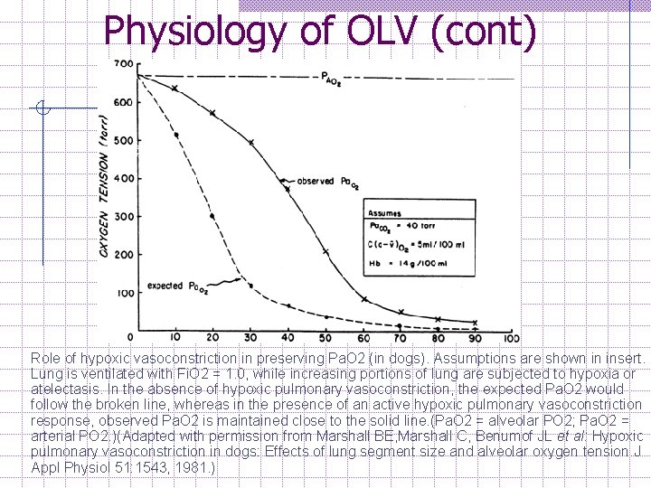 Physiology of OLV (cont) Role of hypoxic vasoconstriction in preserving Pa. O 2 (in
